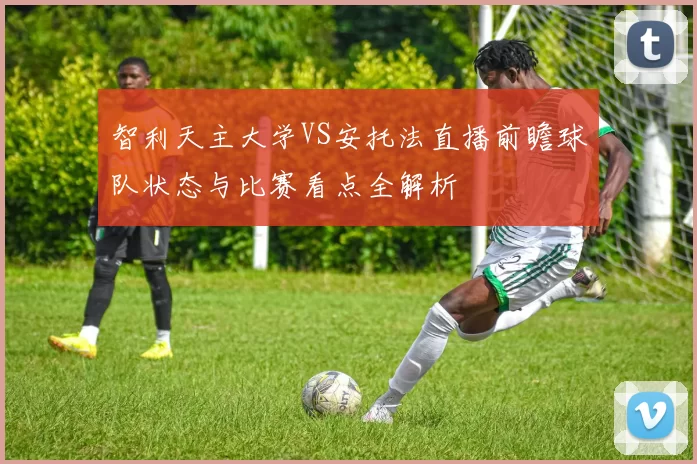 智利天主大学VS安托法直播前瞻球队状态与比赛看点全解析