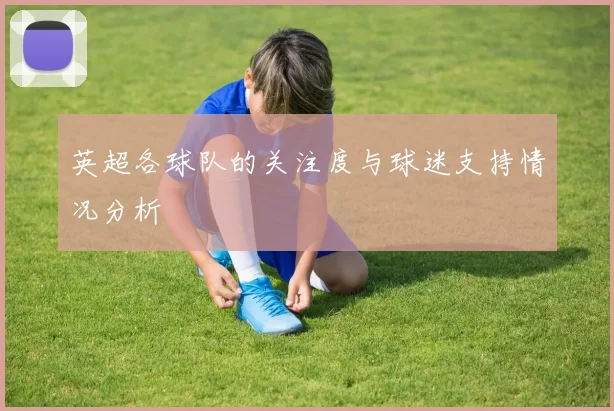 英超各球队的关注度与球迷支持情况分析