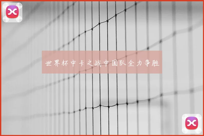 世界杯中卡之战中国队全力争胜
