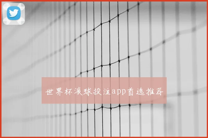 世界杯滚球投注app首选推荐