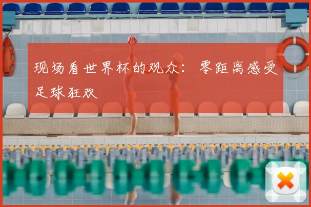 现场看世界杯的观众：零距离感受足球狂欢