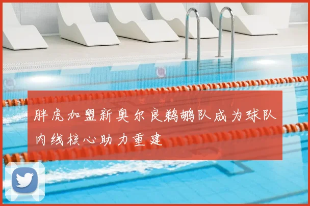 胖虎加盟新奥尔良鹈鹕队成为球队内线核心助力重建