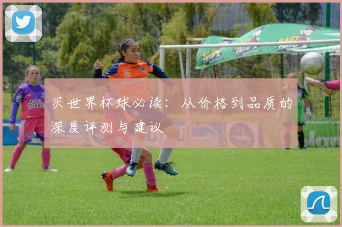 买世界杯球必读：从价格到品质的深度评测与建议