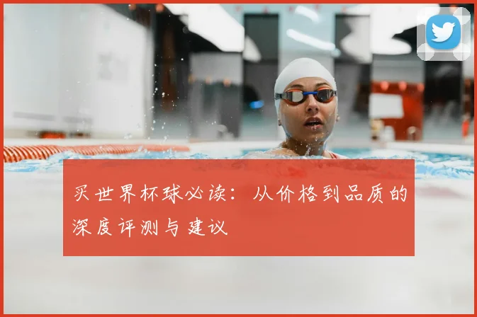 买世界杯球必读：从价格到品质的深度评测与建议
