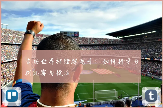 专访世界杯赌球高手:如何科学分析比赛与投注
