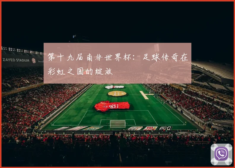 第十九届南非世界杯:足球传奇在彩虹之国的绽放