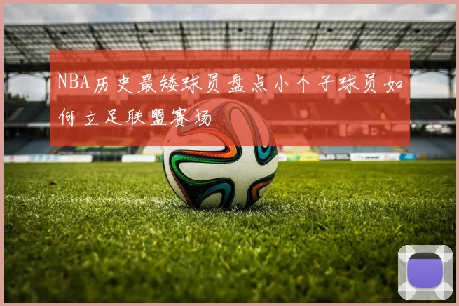 NBA历史最矮球员盘点小个子球员如何立足联盟赛场