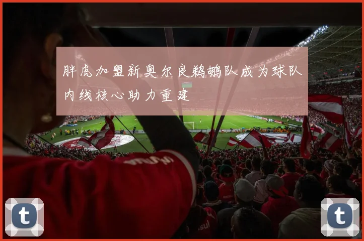 胖虎加盟新奥尔良鹈鹕队成为球队内线核心助力重建