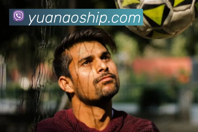 华体会体育平台生态图