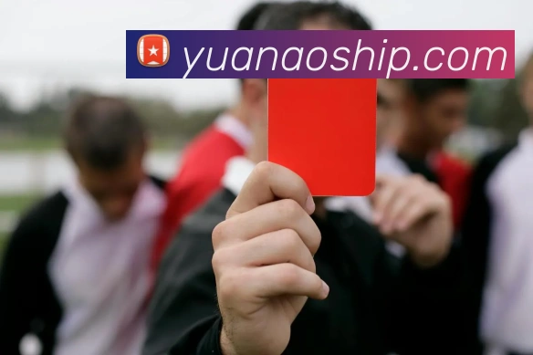 App 示例图